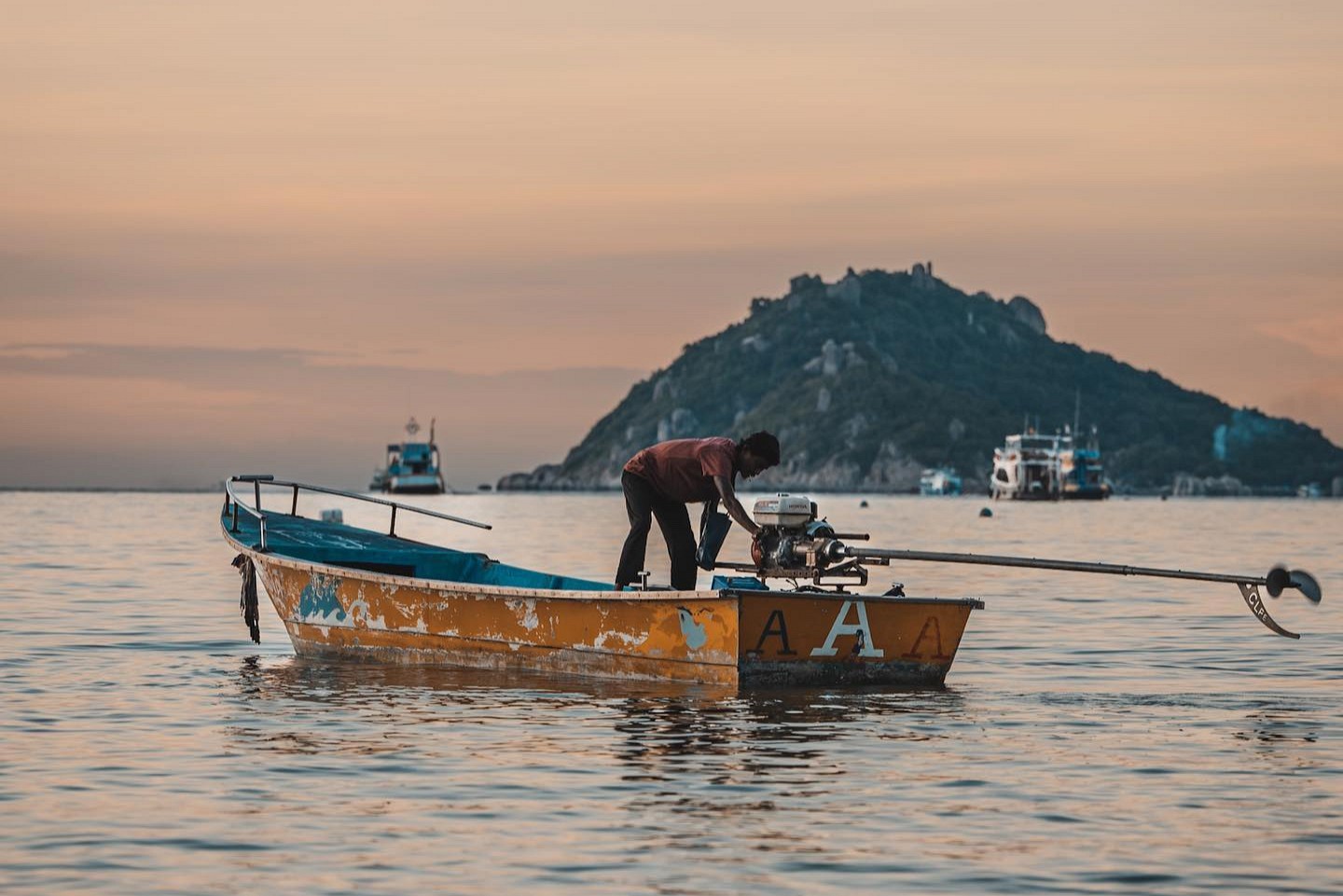 Boat Trips and Taxis